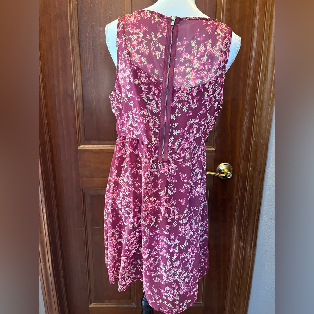 Express Dress - Picture 2 of 4